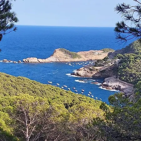 Apartment Sa Riera, De Charme, Jardin, Pour 4 Personnes A 5mn De La Begur