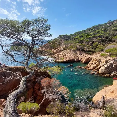Sa Riera, De Charme, Jardin, Pour 4 Personnes A 5mn De La *