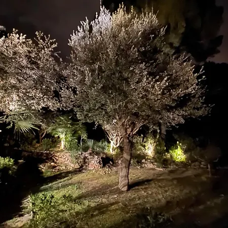 Apartment Sa Riera, De Charme, Jardin, Pour 4 Personnes A 5mn De La